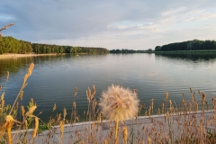 Zapora na rzece Ciemnej w Gołuchowie