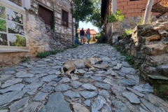 Palaios Panteleimonas – kamienna wioska w masywie Olimpu