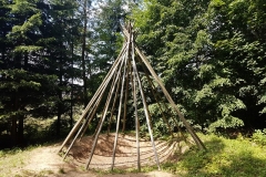 Wigierski Park Narodowy: Ścieżka edukacyjna Las