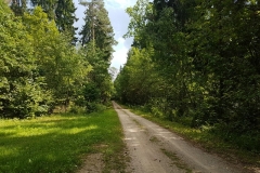 Wigierski Park Narodowy: Bindasowa Droga