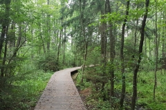 Wigierski Park Narodowy: Kładka