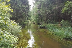 Wigierski Park Narodowy: Kładka; Czarna Hańcza