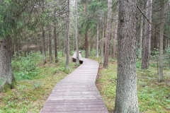 Wigierski Park Narodowy: Kładka