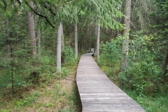 Wigierski Park Narodowy: Kładka