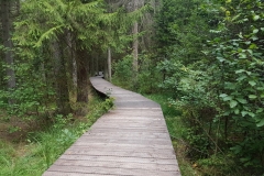 Wigierski Park Narodowy: Kładka