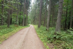 Wigierski Park Narodowy: Harcerska Droga