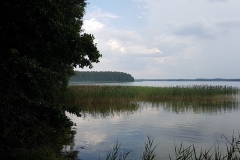 Wigierski Park Narodowy: Zatoka Słupiańska jeziora Wigry