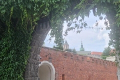 Kraków Wawel