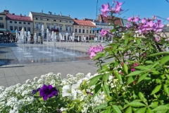 Oswięcim rynek