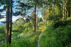 Single Track Glacenis Pętla Rudka