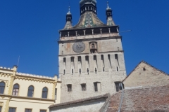 Sighișoara wieża zegarowa