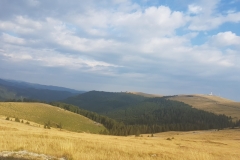 Transalpina