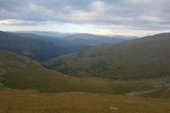 Transalpina