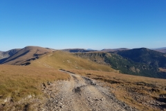 Transalpina