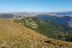 Transalpina