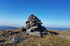 Transalpina