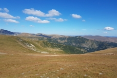 Transalpina