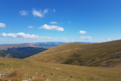 Transalpina