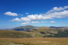 Transalpina