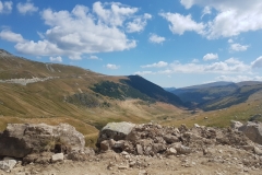 Transalpina