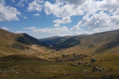 Transalpina