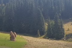 Park Narodowy Apuseni