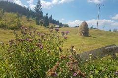 Park Narodowy Apuseni