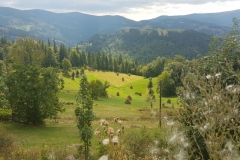 Park Narodowy Apuseni