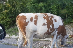 Park Narodowy Apuseni