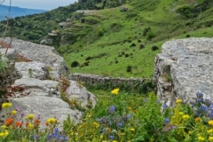 Erice