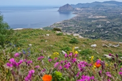 Erice