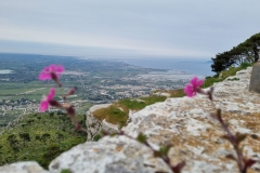 Erice