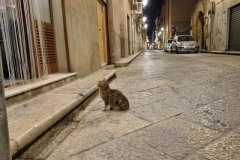 Trapani Stare Miasto