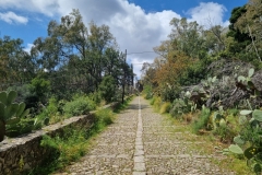 Szlak pielgrzymkowy św. Rozalii na Monte Pellegrino