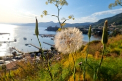 Cefalu