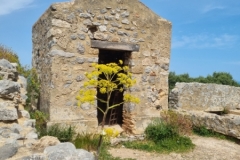 Cefalu La Rocca