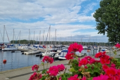 Kamień Pomorski Marina