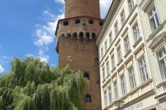Wieża obronna Reichenbach w  Görlitz