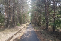 Ścieżka rowerowa w okolicach Horno ( trasa wąskotorówki)