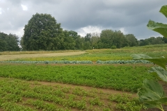 Gospodarstwo Agroturystyczne "Agrolech" w Żytowaniu