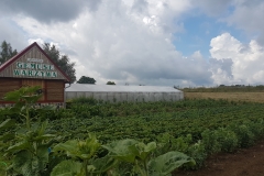 Gospodarstwo Agroturystyczne "Agrolech" w Żytowaniu