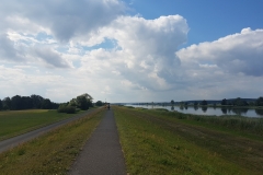 Droga rowerowa na wysokości Oderaue