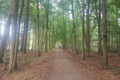 Park Narodowy Am Stettiner Haff