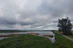 Park krajobrazowy Flusslandschaft Peenetal