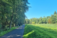 Trasa w parku A. Wodziczki