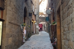 Volterra