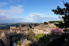 Volterra