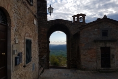 Volterra