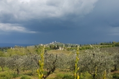 okolice San Gimignano