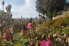 Florencja- Giardino delle rose